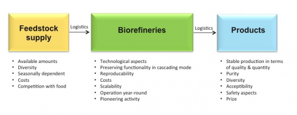 gallery/challenges of biorefinery